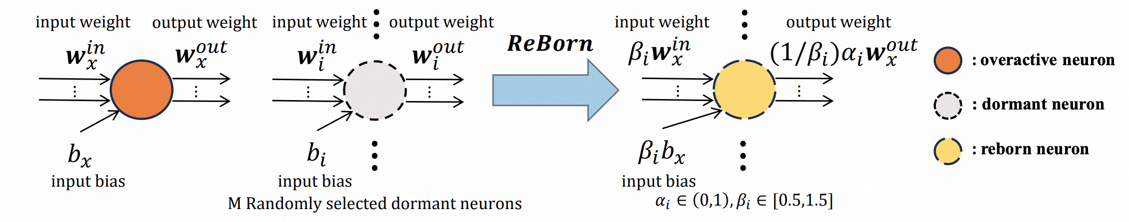 Dormant Neuron